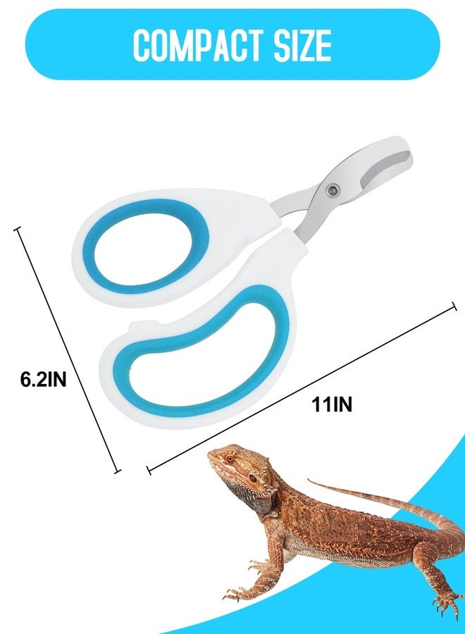 Engorgio Stainless Steel Bearded Dragon Nail Clippers,Lizard Nail Clippers,Bearded Dragon Supplies,Bearded Dragon Nail Scissors for Small Reptiles,Turtle,Chameleon,Iguana，Hedgehog（Blue） - Image 5